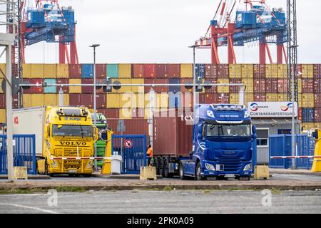 Ingresso ed uscita per container, al terminal container MSC nel porto di Bremerhaven, terminal container Eurogate con quasi 50 contai Foto Stock