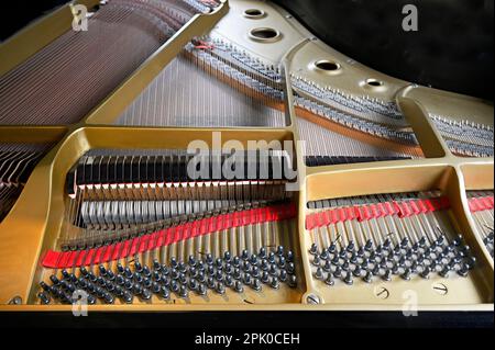 Corde per pianoforte a coda, corpo, piedini e martelli Closeup 1 Foto Stock