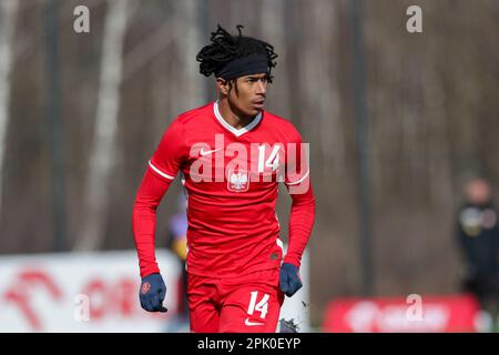 Cracovia, Polonia. 28th Mar, 2023. Maximillian Oyedele di Polonia in azione durante il Campionato europeo Under-19 2023-Elite round Match tra Polonia e Serbia al Centro di formazione di Cracovia. Punteggio finale; Polonia 2:2 Serbia. Credit: SOPA Images Limited/Alamy Live News Foto Stock