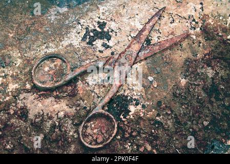 Le forbici sono state fotografate su un coperchio del cilindro di metallo arrugginito. Forbici e fondo sono rimasti per anni nel mio cortile. Foto Stock