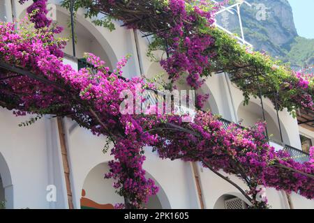 Costiera Amalfitana paesaggio fiorito Foto Stock