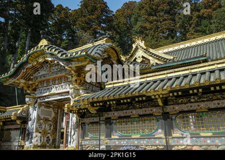 Nikko, Giappone - 11 marzo 2023: Nikko Toshogu, il santuario dello shinto, sito patrimonio dell'umanità dell'UNESCO, situato a Nikko, Giappone. Foto Stock