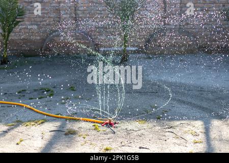 Giardino prato irroratore in azione di erba di irrigazione. Per irrigare il  prato. Messa a fuoco selettiva Foto stock - Alamy