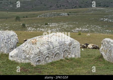 Novakovići, Žabljak, Montenegro – Agosto 2022: Stećci/Stećak sul cimitero medievale „Grčko groblje“. Il cimitero è iscritto nella Lista del Patrimonio Mondiale An Foto Stock