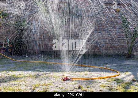 Irrigatore in azione nel giardino. Prato a rotazione di 360 gradi spruzzatore di acqua sopra l'erba. Messa a fuoco selettiva. Foto Stock