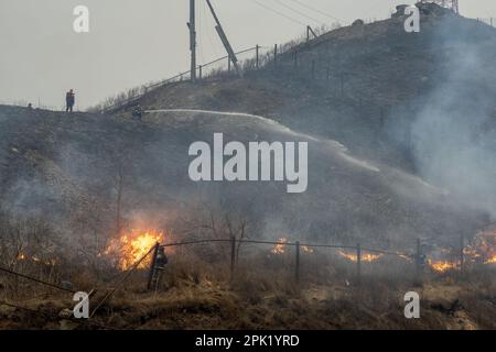 VLADIVOSTOK, RUSSIA - 4 APRILE 2023: I vigili del fuoco hanno messo fuori erba secca bruciante. Disastro naturale. Foto Stock