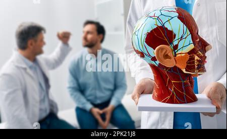 Neurologia, immagine concettuale. Modello anatomico della testa umana con strutture vascolari e nervi in primo piano della consultazione del neurologo con patie Foto Stock