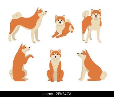 Simpatico fumetto shiba inu in diverse pose vettore illustrazioni set Illustrazione Vettoriale