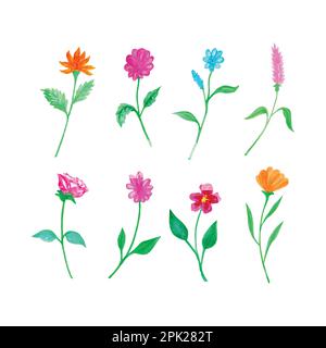 Set di bellissimi fiori acquerelli, disegnati a mano watercolor vettoriale illustrazione per biglietto di auguri o invito disegno Illustrazione Vettoriale