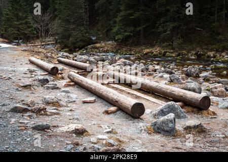 Panchine fatte di tronchi di alberi naturali in una valle di montagna da un ruscello. Valle di Koscieliska, Polonia Foto Stock