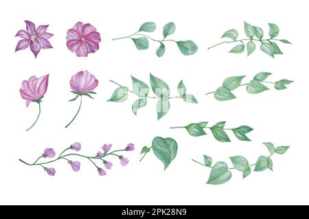 Fiori viola e foglie verdi per la decorazione, disegno a mano watercolor vettoriale per biglietto di auguri o invito disegno Illustrazione Vettoriale