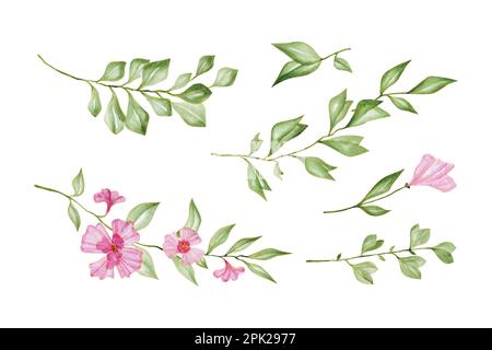 Collezione di fiori e foglie botaniche, illustrazione vettoriale di acquerello disegnata a mano per il biglietto d'auguri o il disegno dell'invito Illustrazione Vettoriale