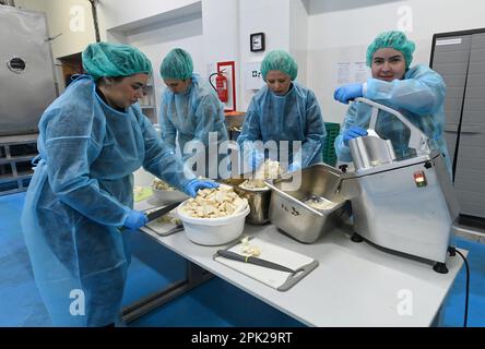 Domazelice, Repubblica Ceca. 04th Apr, 2023. Le donne trita sedano per risotto e borscht presso la Freeze Dry Company, che ha sviluppato una tecnologia per l'essiccazione di piatti pronti mediante liofilizzazione a temperature molto basse e ad alto vuoto, il 4 aprile 2023, a Domazelice, nel distretto di Prerov, Repubblica Ceca. Oltre all'esercito ceco, l'azienda sta ora fornendo cibo ai soldati ucraini attraverso la collezione. La durata degli alimenti contenuti nella confezione è di 10 anni. Credit: Ludek Perina/CTK Photo/Alamy Live News Foto Stock