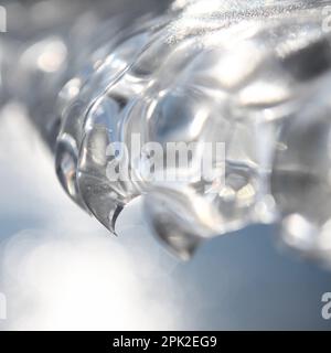 ago affilato... Denti di ghiaccio (alluvione invernale e scatto freddo 2020/2021 ), artigli di ghiaccio formati da vento, tempo e alluvione Foto Stock