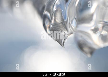 ago affilato... Denti di ghiaccio (alluvione invernale e scatto freddo 2020/2021 ), artigli di ghiaccio formati da vento, tempo e alluvione Foto Stock