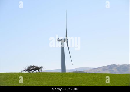 Turbina eolica nella Wharrel's Hill Wind Farm vicino a Bothel, nel distretto settentrionale dei laghi, Cumbria Foto Stock