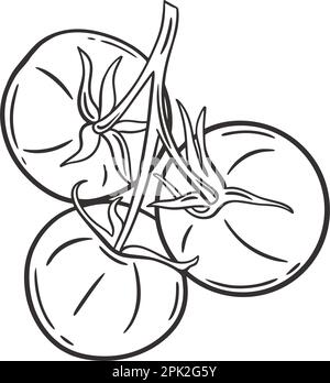 Pomodori sul ramo incisi a mano Illustrazione Vettoriale