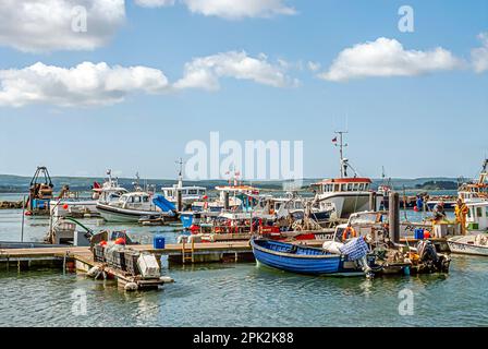 Marina e Waterfront a Poole Harbour a Dorset, Inghilterra, Regno Unito Foto Stock