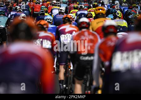 Terneuzen, Paesi Bassi. 05th Apr, 2023. Il pacco di piloti raffigurato al via della gara maschile della 111th edizione della 'Scheldeprijs', un giorno di ciclismo, 205, a 2 km da Terneuzen, Olanda a Schoten, Belgio, mercoledì 05 aprile 2023. FOTO DI BELGA JASPER JACOBS Credit: Belga News Agency/Alamy Live News Foto Stock