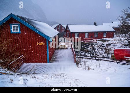 Tipico cottage rosso (per pescatori o alloggi di vacanza) in un piccolo villaggio chiamato in fitta nevicata. Villaggio Å, Lofoten, Norvegia. Foto Stock