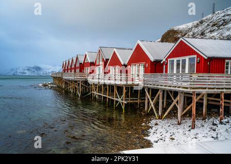 Molti cottage rossi tipici in fila (rorbu cottage per pescatori o turisti) sul mare, Skreda, Lofoten, Norvegia. Foto Stock