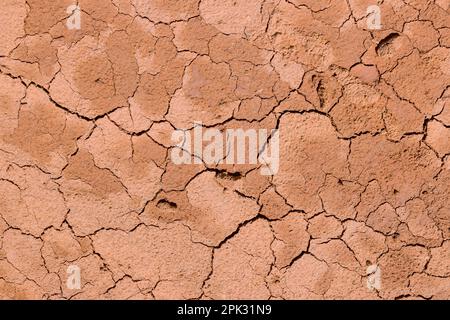Grande crack asciutto macinato struttura dopo lungo periodo di siccità. Foto Stock