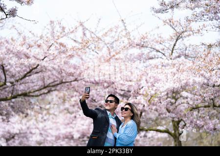 Una coppia prende un selfie con alberi di ciliegio a Battersea Park nel sud-ovest di Londra. Data immagine: Mercoledì 5 aprile 2023. Foto Stock