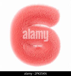 Rosa e soffice 3D numero sei, isolato su sfondo bianco. Pelliccia, morbido e peloso simbolo 6. Elemento di design alla moda e carino. Tagliare l'oggetto. Rendering 3D Foto Stock