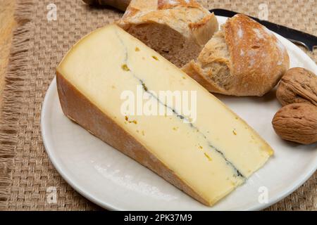 Collezione di formaggi, francese Morbier semi-morbido formaggio di vacca con stampo nero strato primo piano Foto Stock