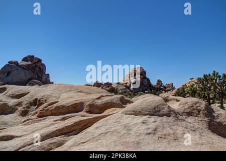 Paesaggio roccioso con alberi di Joshua (Yucca brevifolia) e grandi rocce di massi nel Parco Nazionale di Joshua Tree. Hidden Valley Nature Trail Campground area. Foto Stock