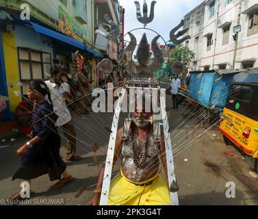 Panguni Uthiram è un festival di indù e giorno di importanza per i Tamil. Panguni Uthiram è un festival famoso e molto speciale per i devoti di Murugan, Ayyappa, Shiva e Vishnu. Essa cade il giorno in cui la luna transita nell'asterismo o nakshatram di Uthiram nel dodicesimo mese Panguni del calendario Tamil. I devoti visti con il loro corpo trafitto con canne metalliche partecipano ad una processione in occasione del festival Panguni Uthiram a Chennai. Si osserva non solo in India, ma anche a Singapore, Malesia, ecc. Foto Stock