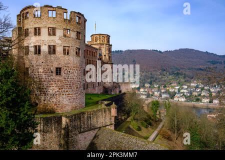 Lato est delle rovine del castello di Heidelberg, vista dal giardino del castello, Heidelberg, Baden-Württemberg, Germania, Europa. Foto Stock
