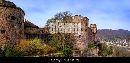 Lato est delle rovine del castello di Heidelberg, vista dal giardino del castello, Heidelberg, Baden-Württemberg, Germania, Europa. Foto Stock