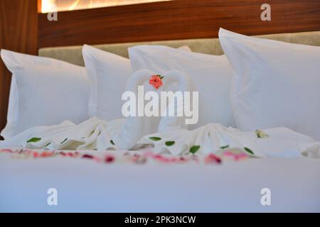 Due cigni fatti di asciugamani si baciano sul letto bianco luna di miele. cuscino cremoso e forma a cuore, caratteristico san valentino in fiore di rosa rosso sul letto deco Foto Stock