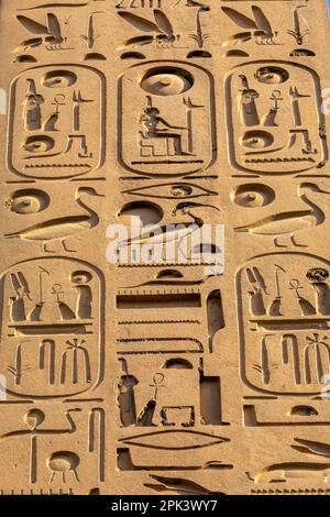 Sculture in pietra e geroglifici al Tempio di Luxor, Luxor, Egitto, Africa nord-orientale Foto Stock
