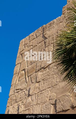 Sculture in pietra e geroglifici al Tempio di Karnak, Luxor, Egitto, Africa del Nord-Est Foto Stock