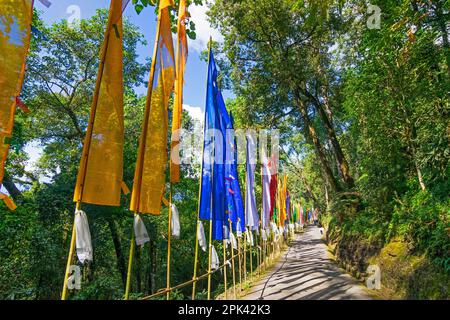 Bel modo per la statua di Sambruptse , la luce del sole e l'ombra di albero sulla strada e le bandiere che ondeggiano sull'altro lato della strada . Samdruptse, Sikkim, India. Foto Stock