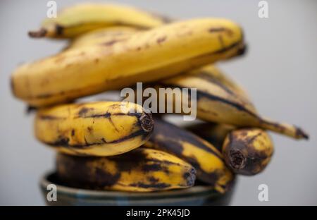 Banane mature a New York domenica 2 aprile 2023. (© Richard B. Levine) Foto Stock