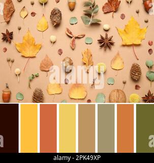 Tavolozza di colori e composizione con foglie autunnali su fondo beige, giacitura piatta Foto Stock