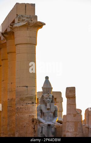 Il Colosso di Ramesses ll nella prima Corte, Tempio di Luxor, Luxor, Egitto, Africa del Nord-Est Foto Stock