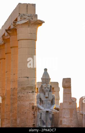 Il Colosso di Ramesses ll nella prima Corte, Tempio di Luxor, Luxor, Egitto, Africa del Nord-Est Foto Stock