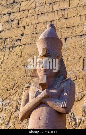 Il pilone di Ramesses ll con uno dei Colossi, Luxor Tempio, Luxor, Egitto, Nord Est Africa Foto Stock
