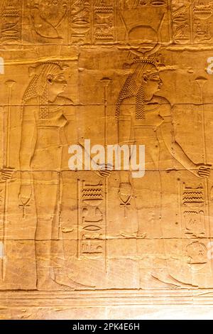 Sculture in pietra e geroglifici nel Santuario al Tempio di Iside al complesso del Tempio di Philae, Isola di Agilkia, Assuan, Egitto, Africa del Nord-Est Foto Stock