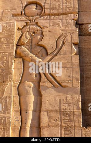 Sculture in pietra e geroglifici nel Santuario al Tempio di Iside al complesso del Tempio di Philae, Isola di Agilkia, Assuan, Egitto, Africa del Nord-Est Foto Stock
