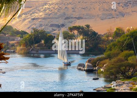 Felucca sul Nilo, Assuan, Egitto, Africa del Nord-Est Foto Stock