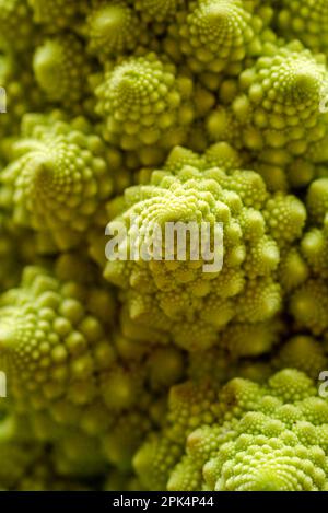 Macrofo di un cavolfiore romanesco Brassica oleracea. Foto Stock