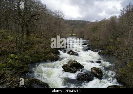 Il fiume Llugwy qui è vicino al villaggio di Pont Cyfyng in Snowdonia e la cascata conosciuta come Cyfyng Falls. Foto Stock