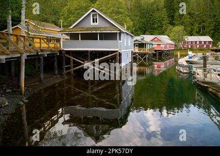 Telegraph Cove edifici storici Boardwalk su Pilings. Il porticciolo di Telegraph Cove e le sistemazioni costruite su pilings che circondano questo luogo storico Foto Stock