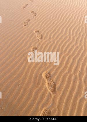 Stampa di scarpe su una duna di sabbia nel deserto del Sahara, Merzouga. Grani di sabbia che formano piccole onde sulle dune. Tramonto. Marocco Foto Stock