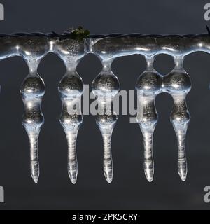 Ghiaia di ghiaccio... Icicle ( alluvione invernale 2020/2021 ), formazione di ghiaccio su recinzione spinato di filo influenzato dal vento e dal tempo Foto Stock